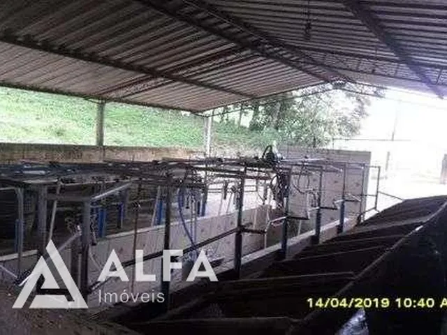 Imagem 16: Fazenda Leiteira Completa e Produtiva com Estrutura de Alta Capacidade - Oportunidade