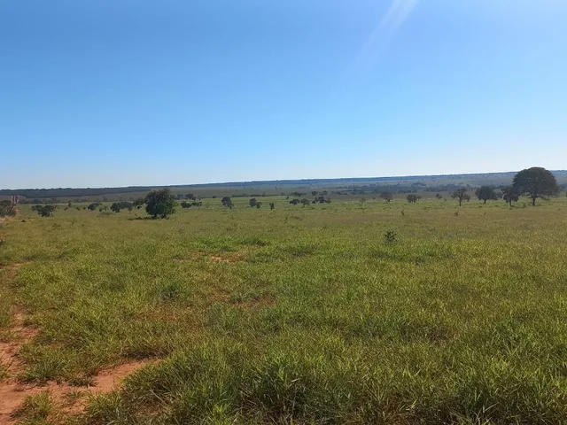 Imagem: Fazenda para Venda na Região de Ribas do