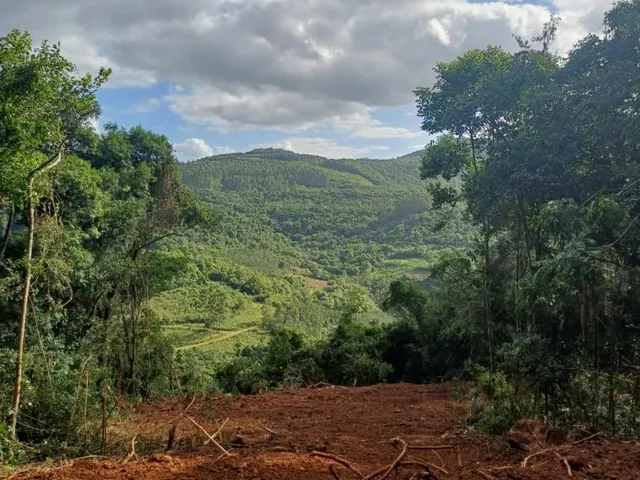 Imagem: O terreno possui 20m² de Área e está localizado em Linha