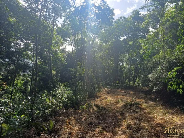 Imagem: O terreno possui 20m² de Área e está localizado em Linha