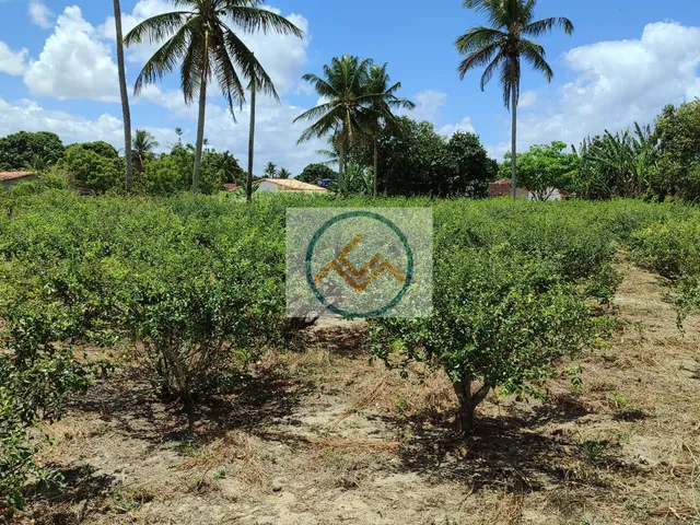 Imagem: Casa em Povoado Gravatá, Itaporanga DAjuda/SE