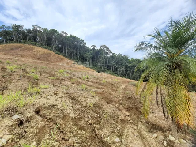 Imagem: Terreno Amplo de 338M²