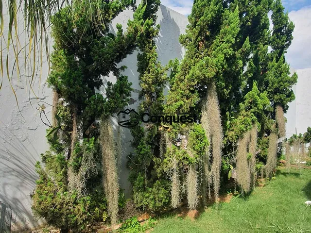 Imagem 2: Vendo- Linda Casa 03 Quartos com suíte, Acabamento Excelente, lote 420 metros ! Bairro