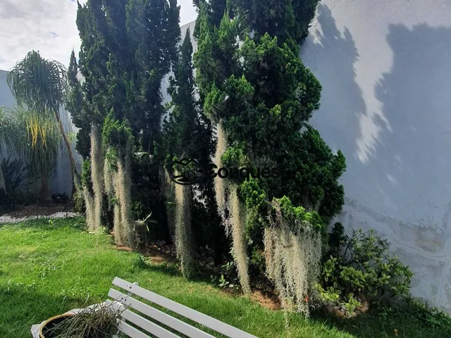 Imagem 6: Vendo- Linda Casa 03 Quartos com suíte, Acabamento Excelente, lote 420 metros ! Bairro