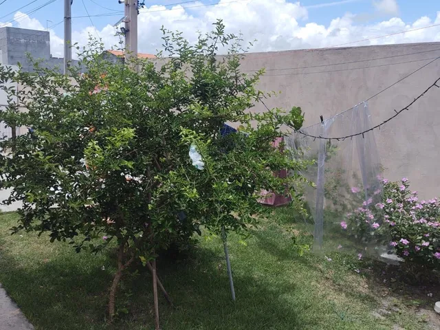 Imagem 11: Condomínio Planeta Água - Vendo Casa 3 Suítes, Piscina, Energia Solar, Barra