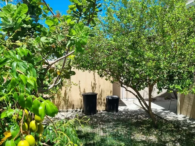 Imagem 6: Condomínio Planeta Água - Vendo Casa 3 Suítes, Piscina, Energia Solar, Barra
