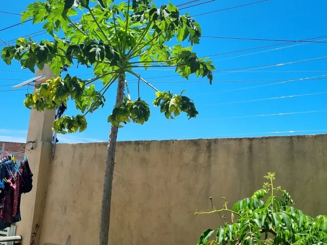 Imagem 15: Condomínio Planeta Água - Vendo Casa 3 Suítes, Piscina, Energia Solar, Barra