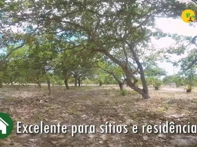 Imagem 4: Terreno, 150M², À Venda em Pindoretama