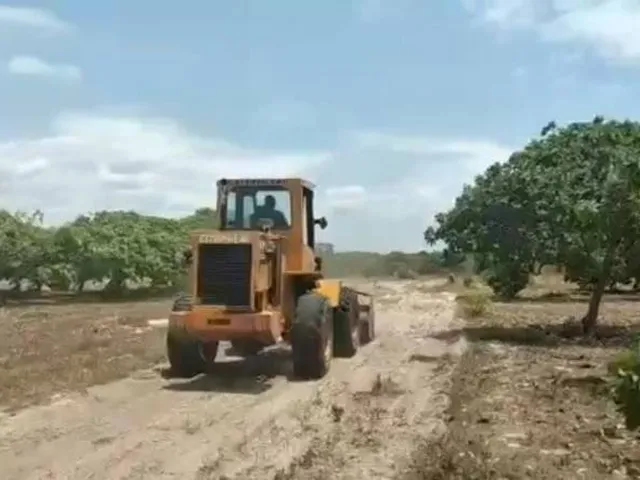 Imagem 12: Terreno, 150M², À Venda em Pindoretama
