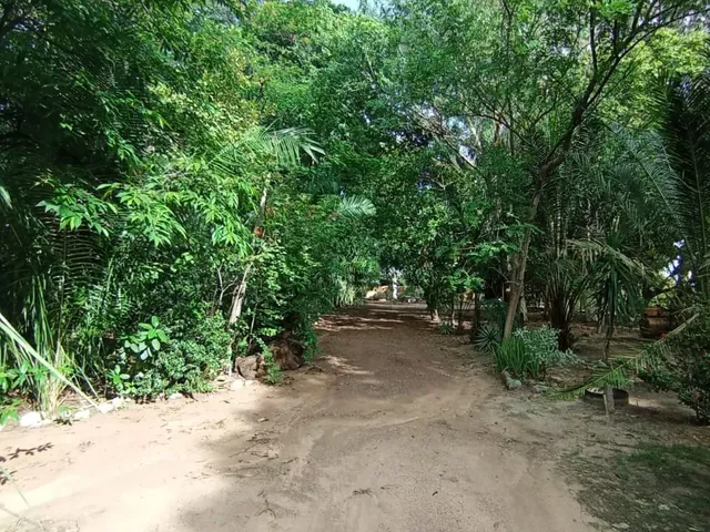 Imagem 10: Chácara para venda, 9.447m², Nova Esperança, Cuiabá