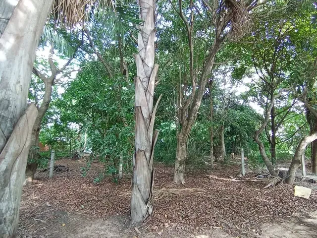 Imagem 9: Chácara para venda, 9.447m², Nova Esperança, Cuiabá