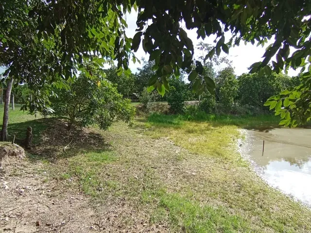 Imagem 3: Chácara para venda, 9.447m², Nova Esperança, Cuiabá