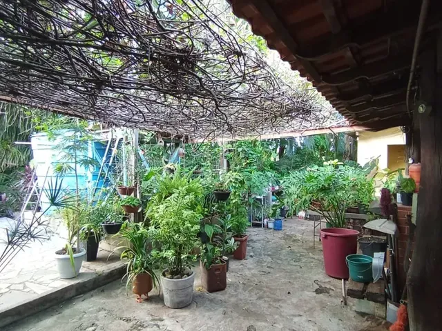 Imagem 16: Chácara para venda, 9.447m², Nova Esperança, Cuiabá