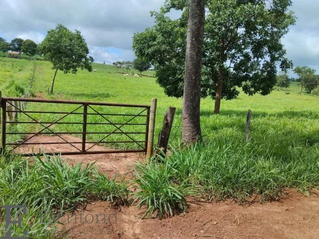 Imagem: A fazenda possui 1 Dormitório, 1 Banheiro, 1 Vaga na