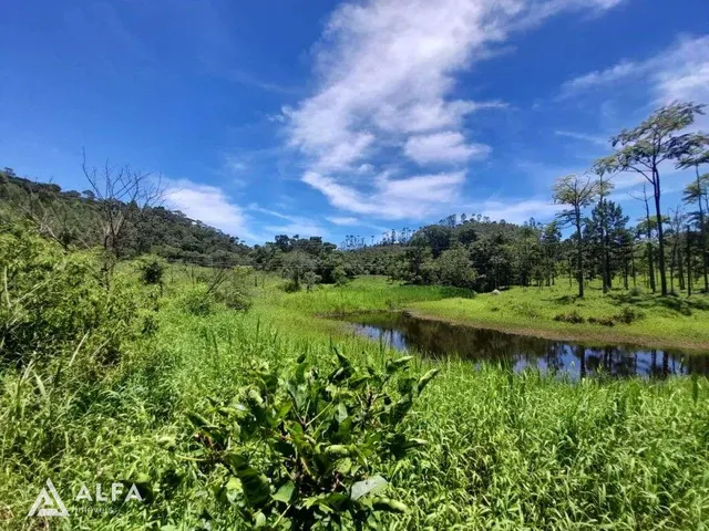 Imagem: Fazenda à venda em Barbacena, Correia de