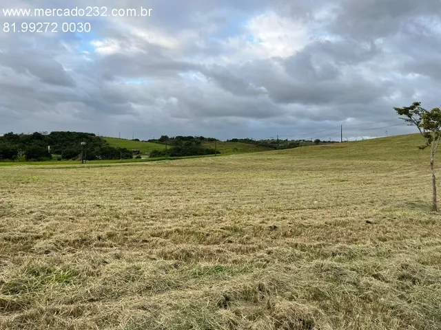 Imagem: VENDO LOTE ALPHAVILLE BR 232 - Terreno comercial