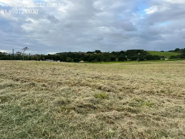 Imagem 14: VENDO LOTE ALPHAVILLE BR 232 - Terreno comercial de 2.375,13 m² à venda em Jaboatão
