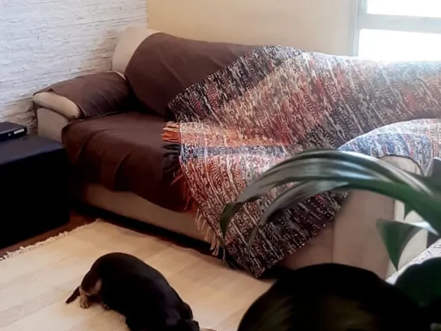 Imagem: Apartamento À Venda em Vila Jacuí com