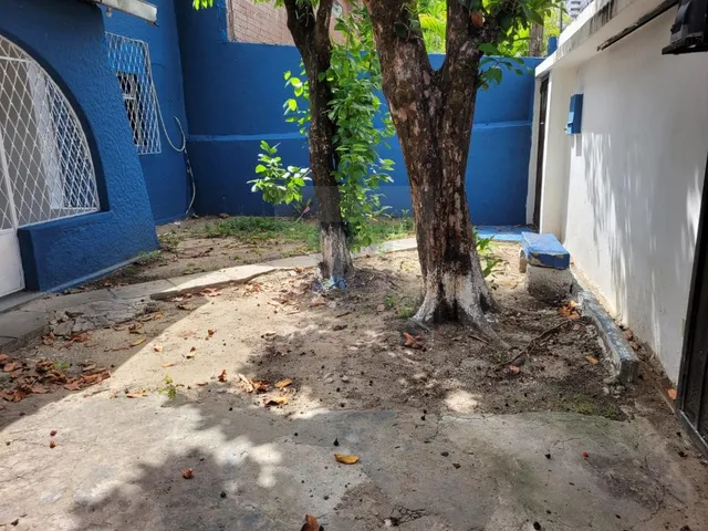 Imagem 2: Casa para Locação em Tamarineira