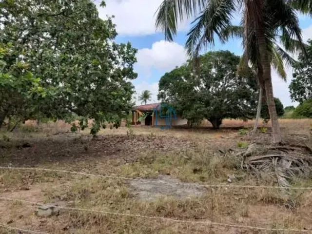Imagem: GRANJA EM MANGABEIRA - Granja em Mangabeira
