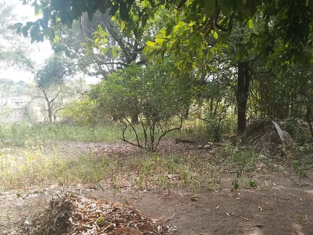 Imagem: Terreno à venda no bairro Parque Nova Friburgo