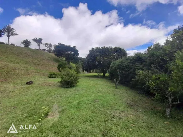Imagem 6: Sítio à venda em Barbacena, Santa Cecília, com 3 quartos, 2ha