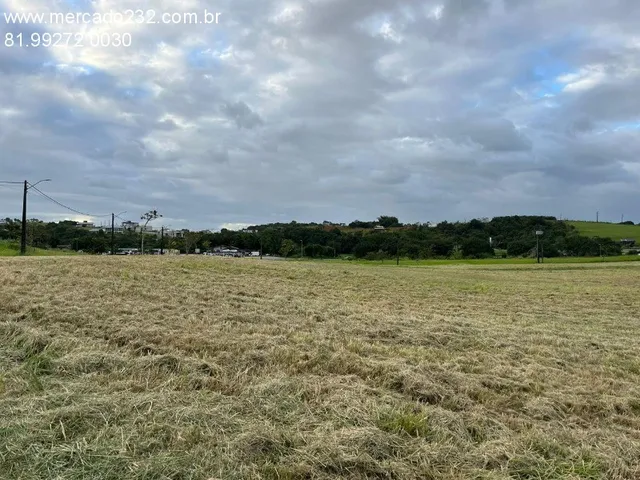 Imagem 12: VENDO LOTE ALPHAVILLE BR 232 - Terreno Comercial à Venda em Jaboatão dos Guararapes-PE