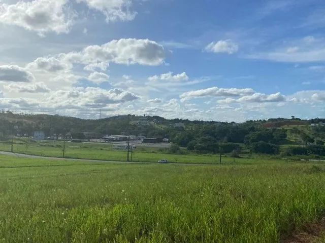 Imagem 15: VENDO LOTE ALPHAVILLE BR 232 - Terreno Comercial à Venda em Jaboatão dos Guararapes-PE
