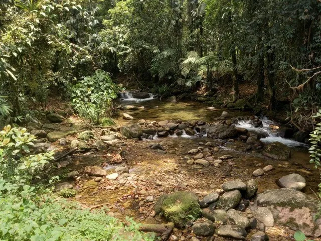 Imagem 16: Casa - Angra dos Reis (Ariró Cunhambebe)