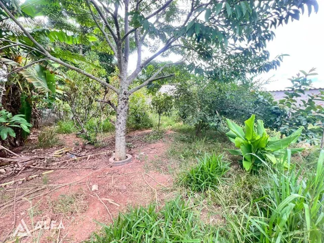 Imagem 13: Sítio em Vasconcelos – Conforto e Tranquilidade Perto da Cidade