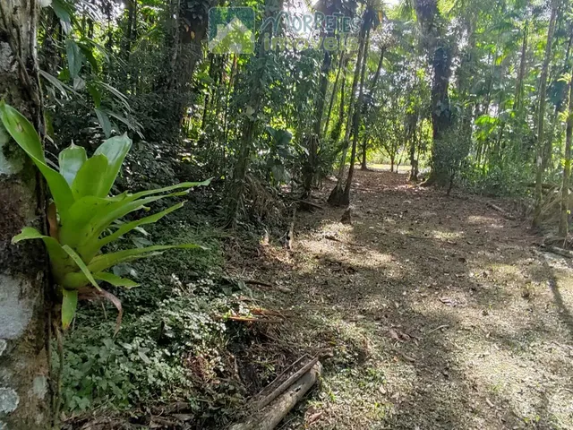 Imagem 5: Chácara à venda no bairro Vila das Palmeiras - Morretes/PR