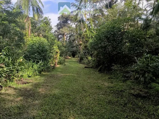 Imagem 10: Chácara à venda no bairro Vila das Palmeiras - Morretes/PR