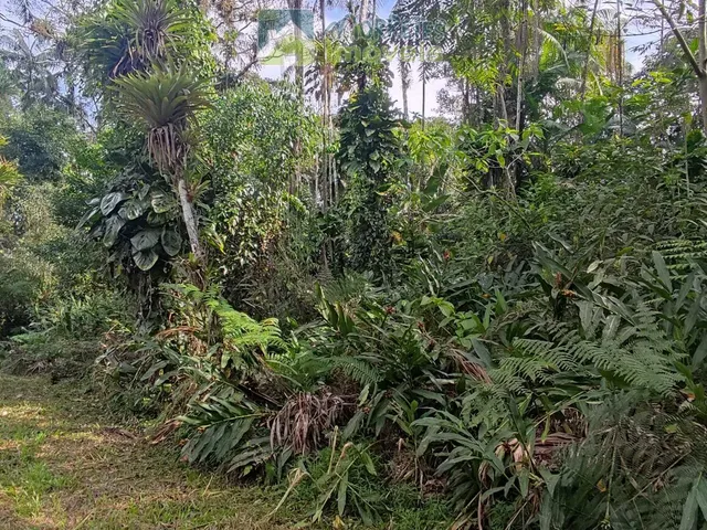 Imagem 9: Chácara à venda no bairro Vila das Palmeiras - Morretes/PR