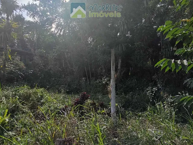 Imagem 8: Chácara à venda no bairro Vila das Palmeiras - Morretes/PR