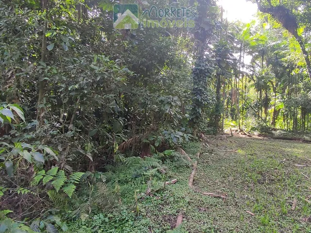 Imagem 16: Chácara à venda no bairro Vila das Palmeiras - Morretes/PR