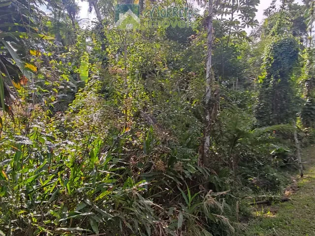 Imagem 15: Chácara à venda no bairro Vila das Palmeiras - Morretes/PR