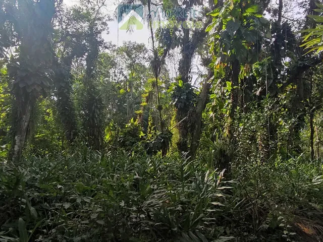 Imagem 7: Chácara à venda no bairro Vila das Palmeiras - Morretes/PR