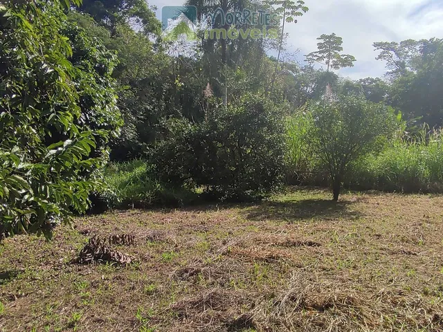 Imagem 11: Chácara à venda no bairro Vila das Palmeiras - Morretes/PR