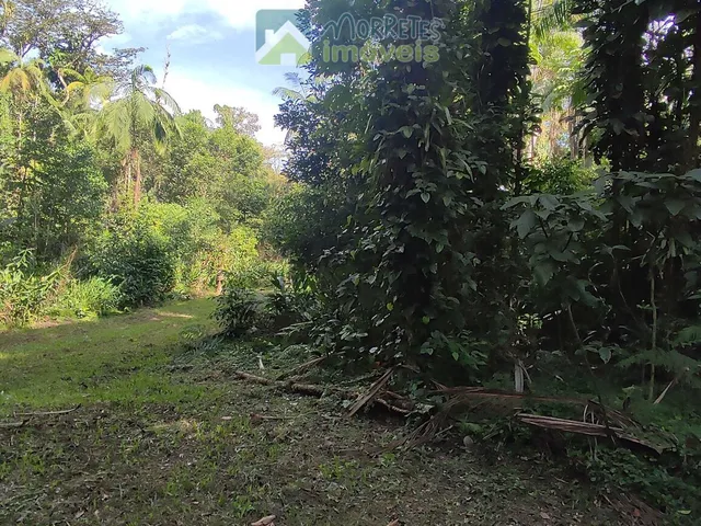 Imagem 3: Chácara à venda no bairro Vila das Palmeiras - Morretes/PR