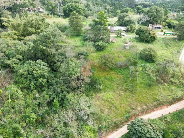 Imagem 3: REF. 375 Terreno bairro Ratones, Florianópolis/SC
