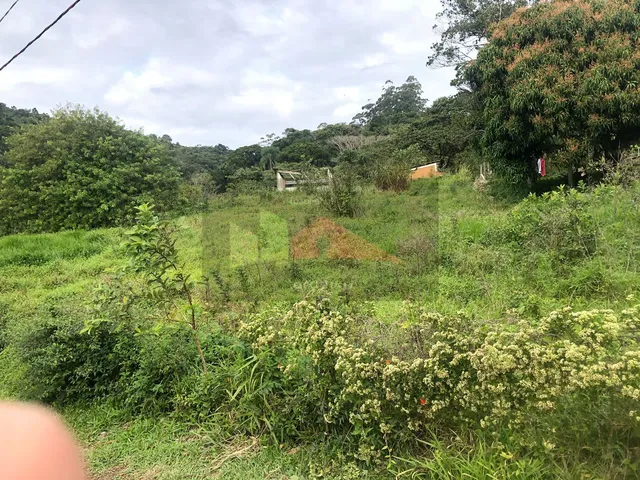 Imagem 2: REF. 375 Terreno bairro Ratones, Florianópolis/SC