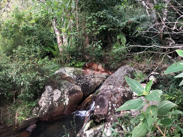 Imagem 9: REF. 375 Terreno bairro Ratones, Florianópolis/SC