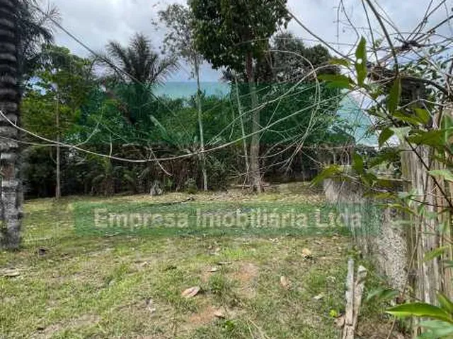 Imagem 7: Chácara / Rural / Zona Rural