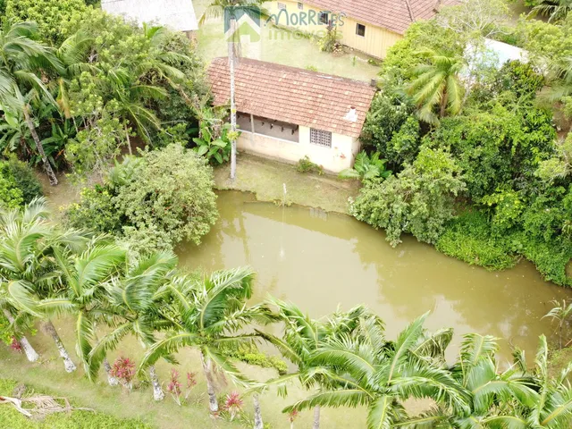Imagem 13: Chácara Sítio 8,4 hectares com Casa , galpão, lago, salão de festas, Pomar 4 hec