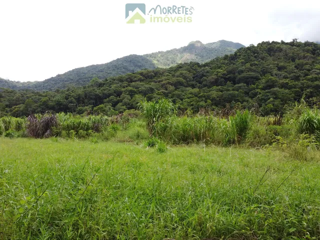 Imagem 16: Chácara Sítio 8,4 hectares com Casa , galpão, lago, salão de festas, Pomar 4 hec