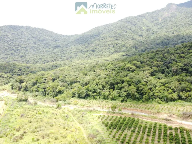 Imagem 11: Chácara Sítio 8,4 hectares com Casa , galpão, lago, salão de festas, Pomar 4 hec
