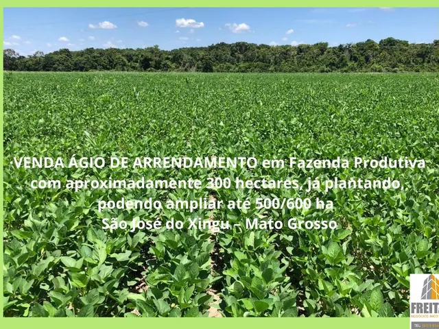 Imagem: A fazenda possui 3 Dormitórios, 600m² de Área Privada,