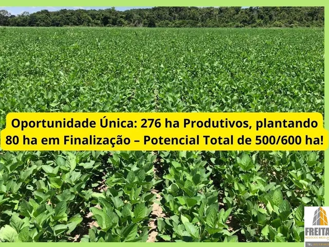 Imagem 6: Ágio de Arrendamento em fazenda no Mato Grosso: 600 ha com 276 ha...