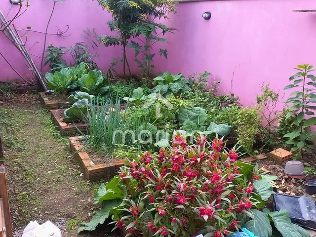 Imagem 2: Casa com 3 quartos, Nossa Senhora da Paz - Balneário Piçarras