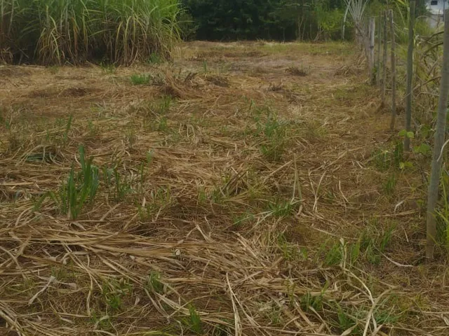 Imagem 8: Chacara Residencial em Caratinga - Mg, Córrego Taquaraçu